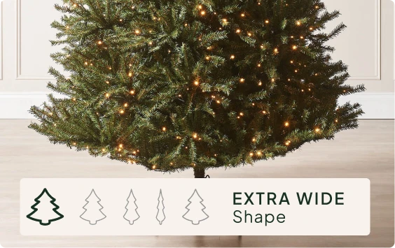 Size & Shape