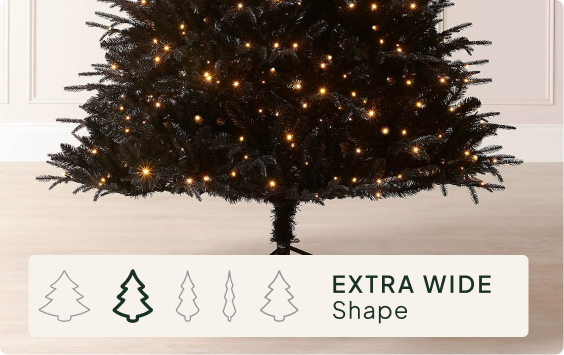 Size & Shape