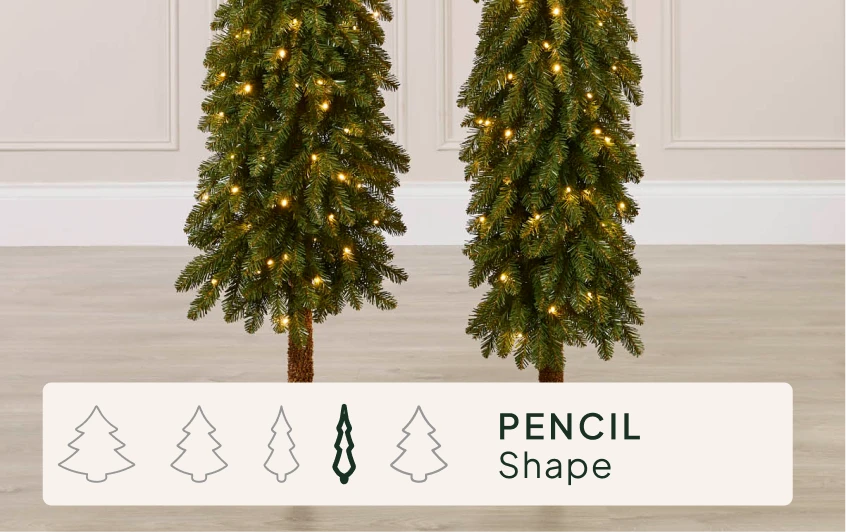 <strong>Size & Shape</strong>