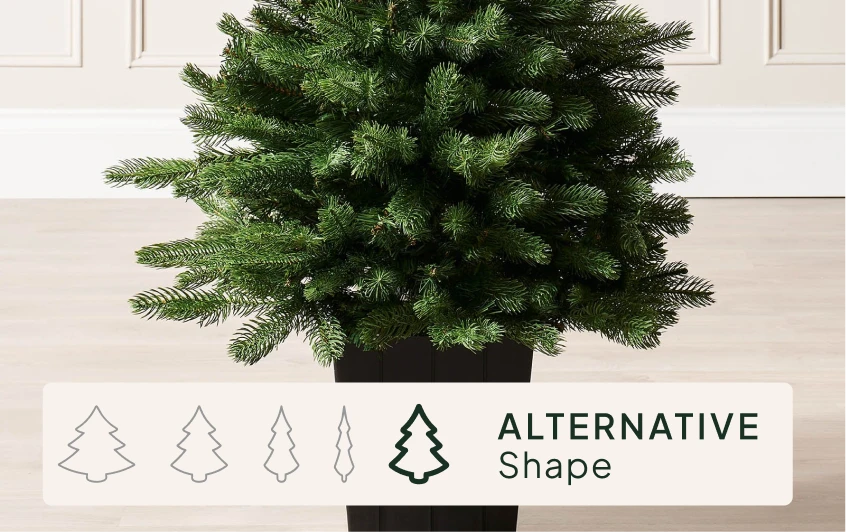 <strong>Size & Shape</strong>