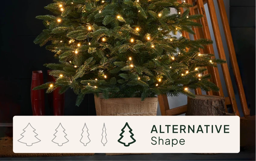 <strong>Size & Shape</strong>