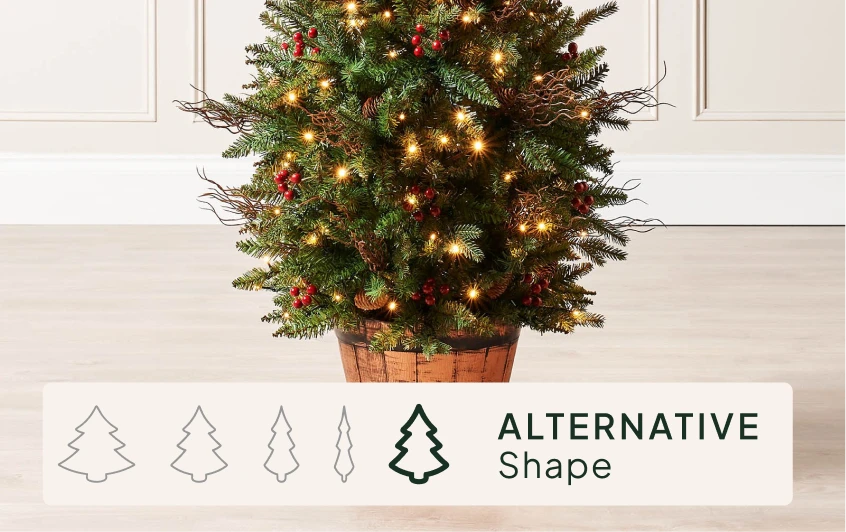 <strong>Size & Shape</strong>