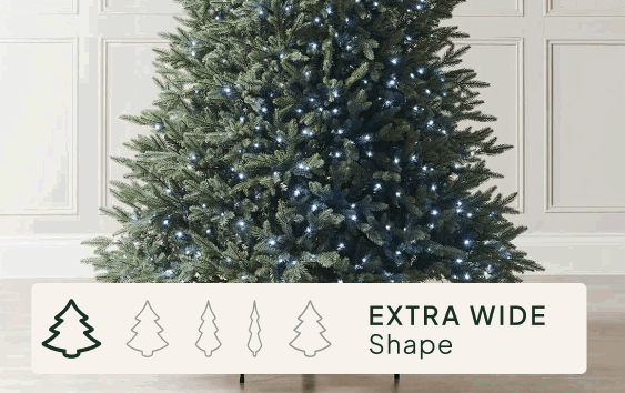 <strong>Size & Shape</strong>