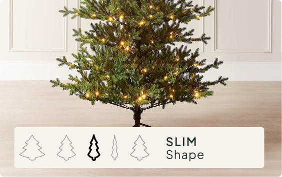 Size & Shape