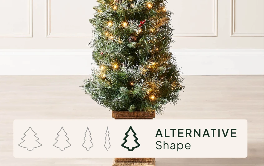 <strong>Size & Shape</strong>