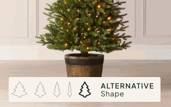 <strong>Size & Shape</strong>