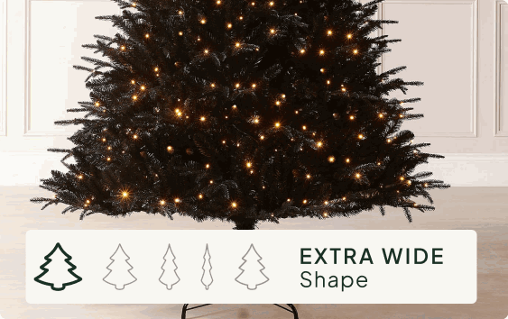 Size & Shape