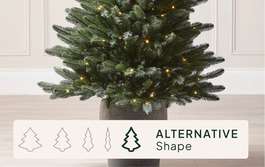 <strong>Size & Shape</strong>