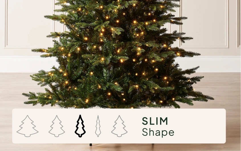 Size & Shape