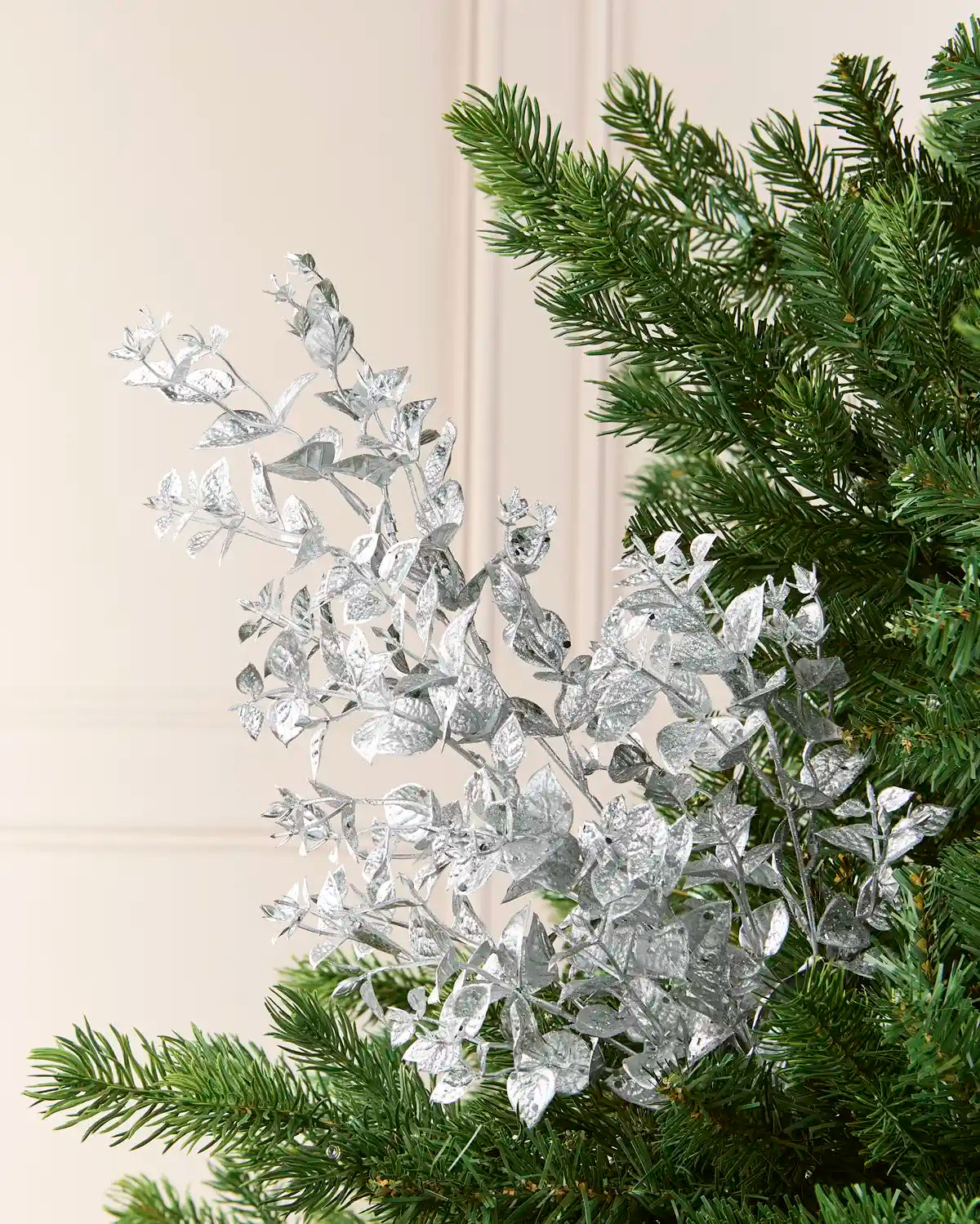 Silver Foliage Spray arranged among green Christmas Tree branches, showcasing its metallic Silver leaves and delicate stems.
