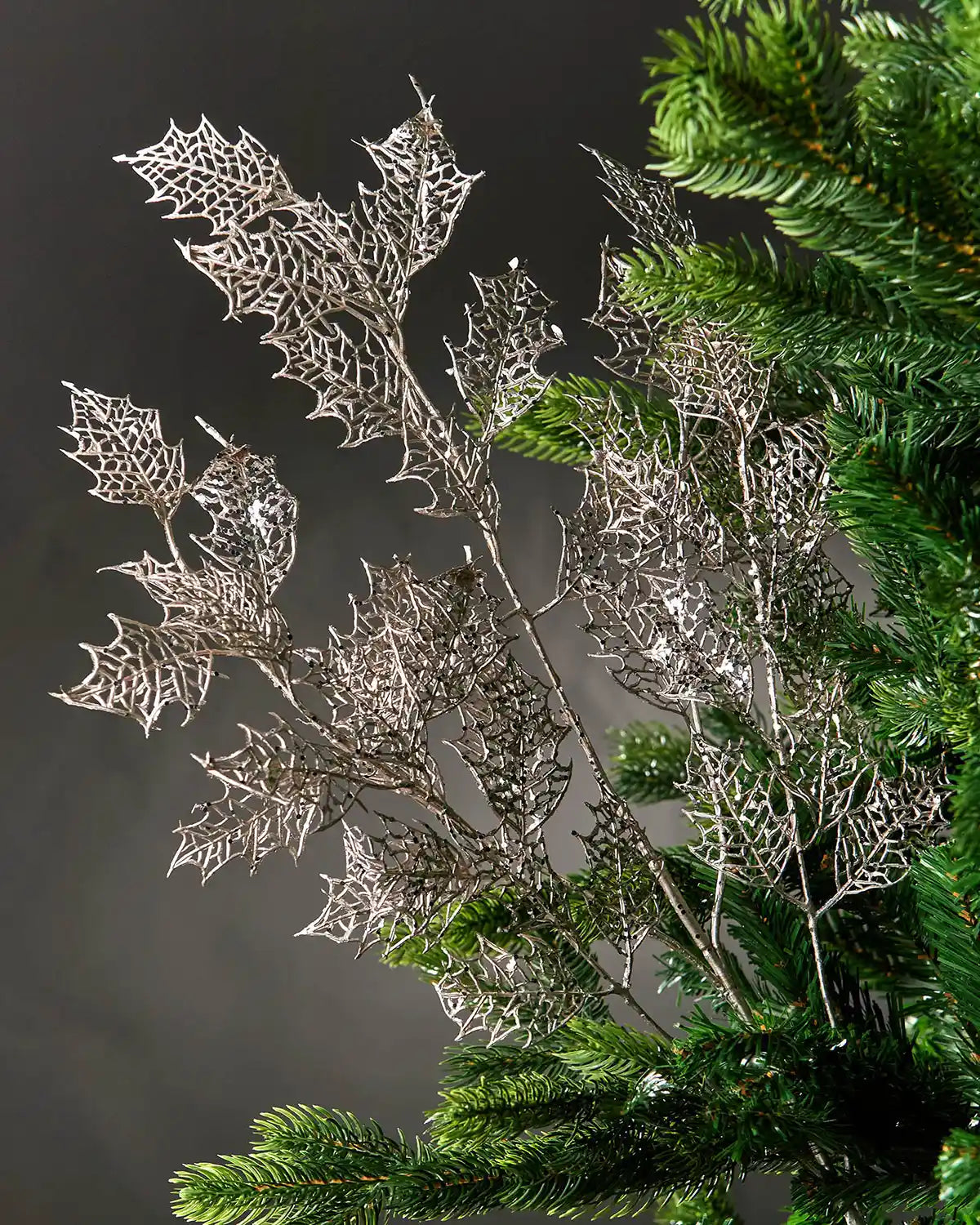 Silver tree branch with Holly leaves on a Christmas tree against a Grey background