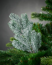 Small frosted pine pick on a Christmas tree branch against a grey background