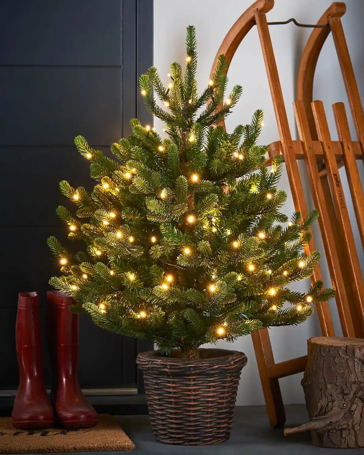 Small potted Christmas tree with lights next to red boots and a wooden sled.