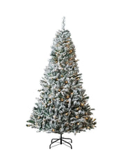 Snow Flocked Mixed Pine Christmas Tree, 7ft with warm white lights on a White background
