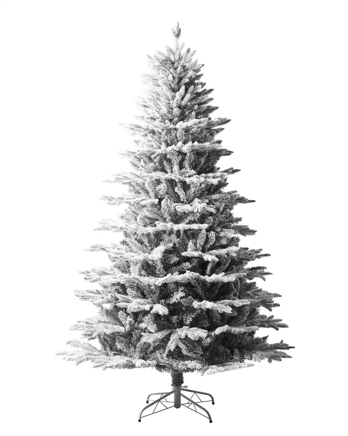 Snow flocked Christmas tree on a white background
