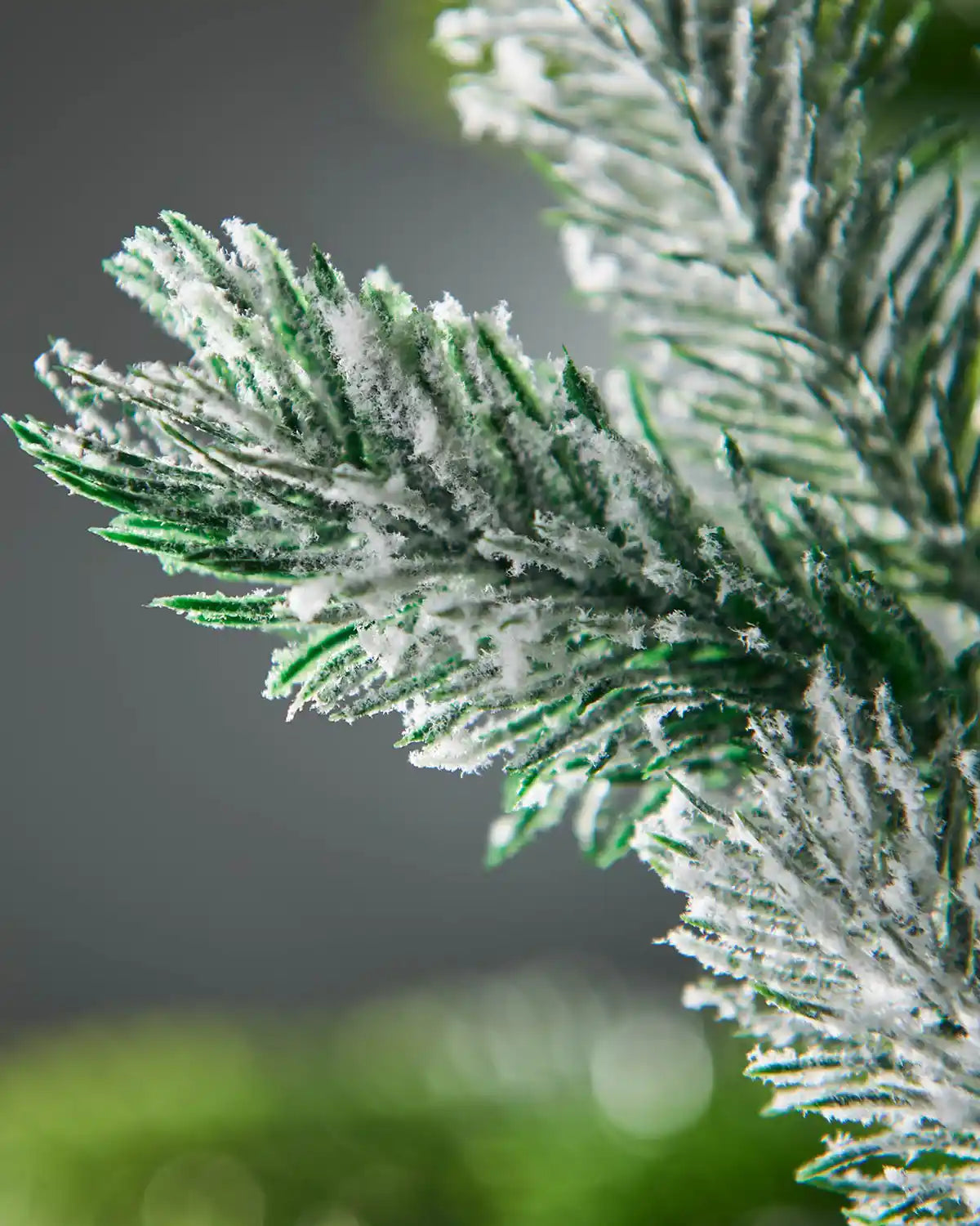 Snow flocked pine branch with a blurred green and grey background