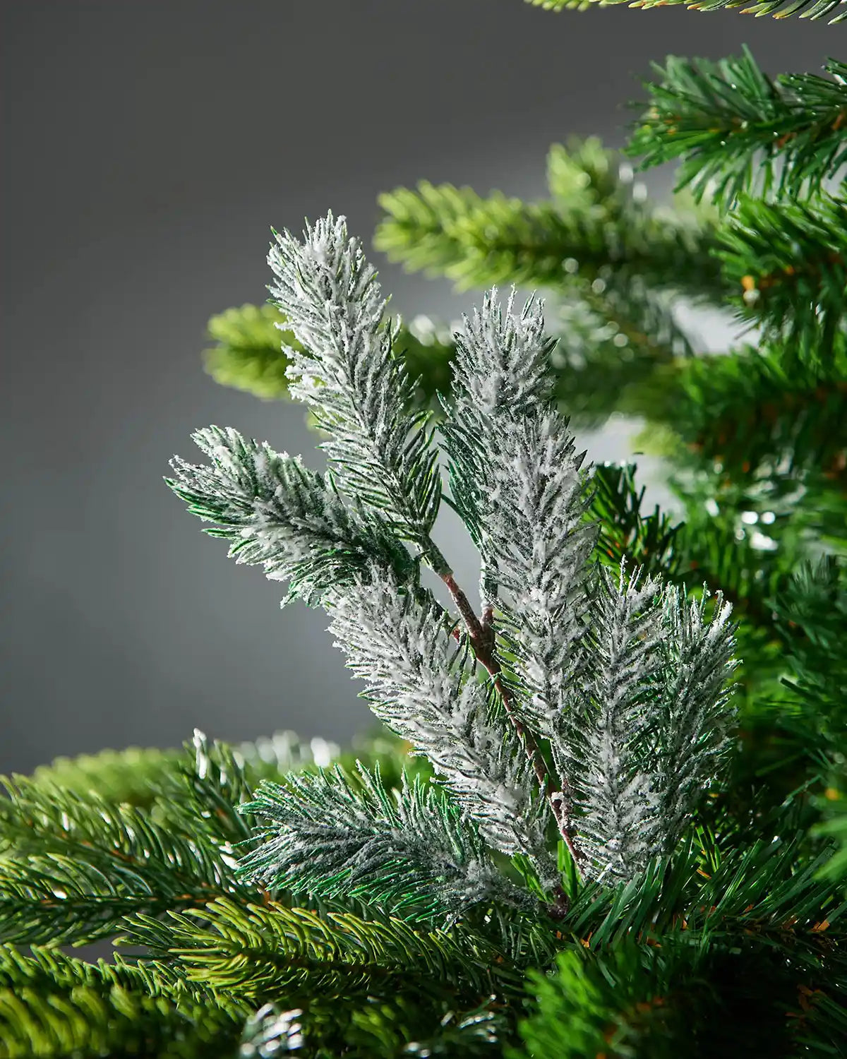 Snow flocked pine pick on a Christmas tree branch against a grey background