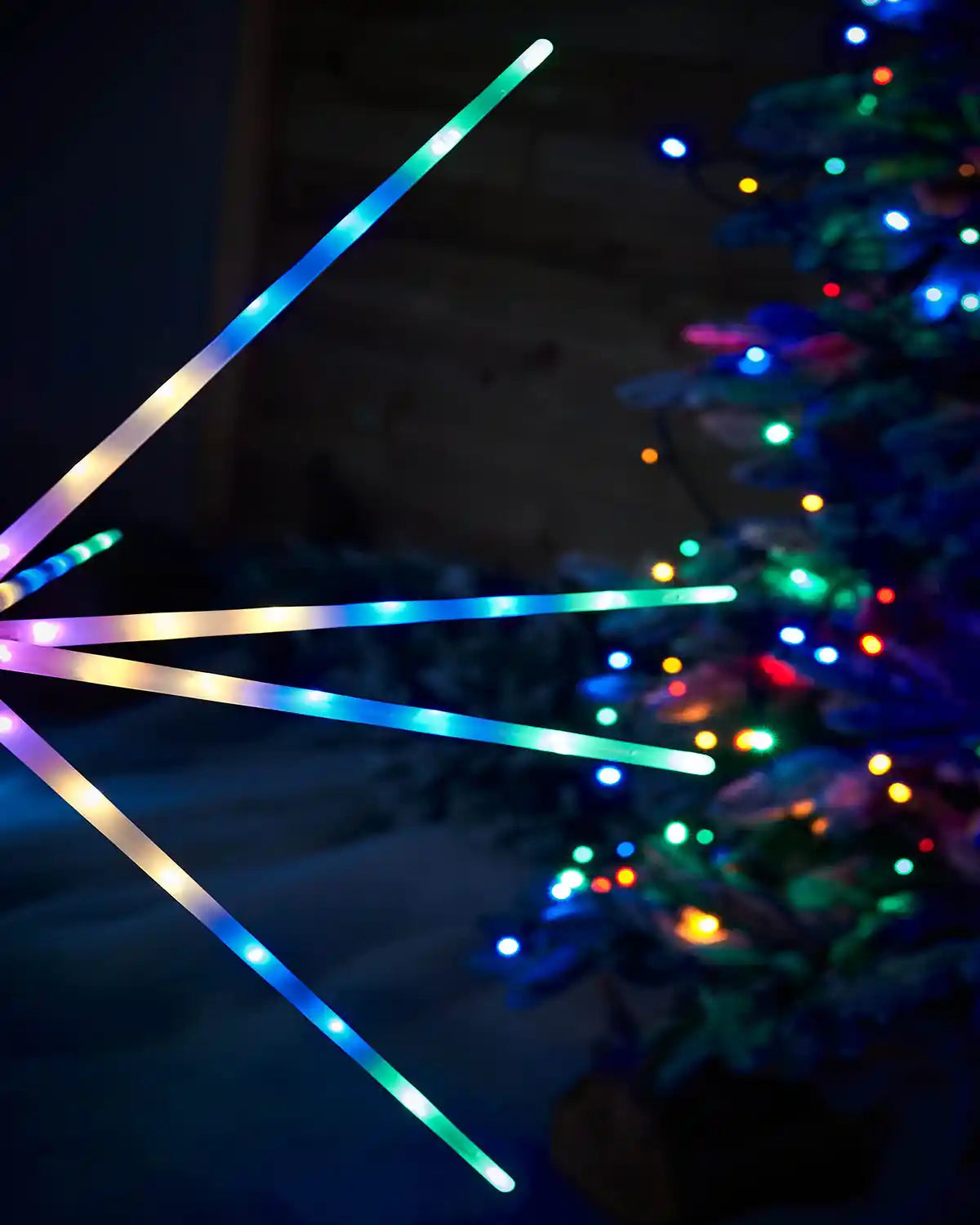 Close up of multi coloured light tubes on the Starburst Pathway Stake Light, Multi-Coloured, 98 with Christmas tree in garden 