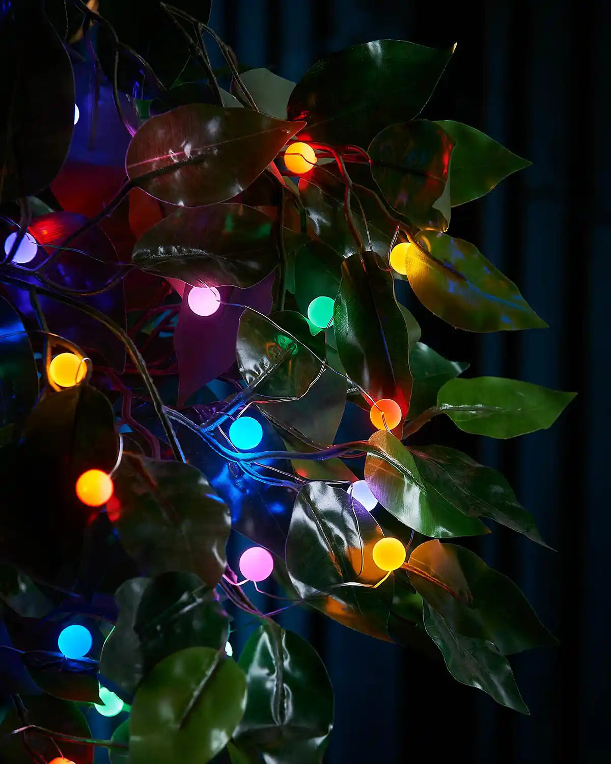 String berry lights with multicoloured bulbs hanging among green leaves against a dark background