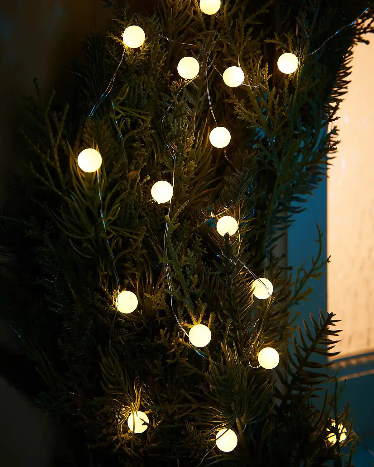 String lights on a tree branch with a warm glow