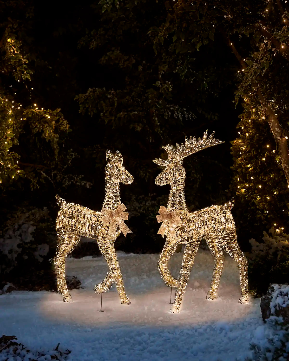 Two illuminated deer light sculptures standing on a snowy ground at night, surrounded by dark trees with warm string lights.