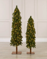 Two slim green Christmas trees with warm white lights, shown side by side on square brown bases against a white panelled wall