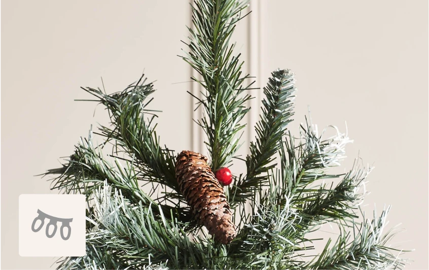 <strong>Decorated</strong>