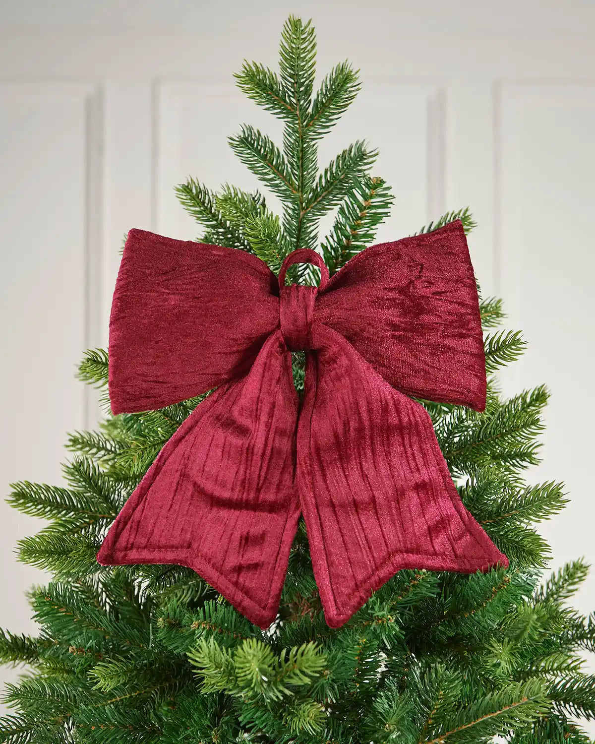 Vintage-style burgundy velvet bow placed near the top of a Christmas tree in front of a white background