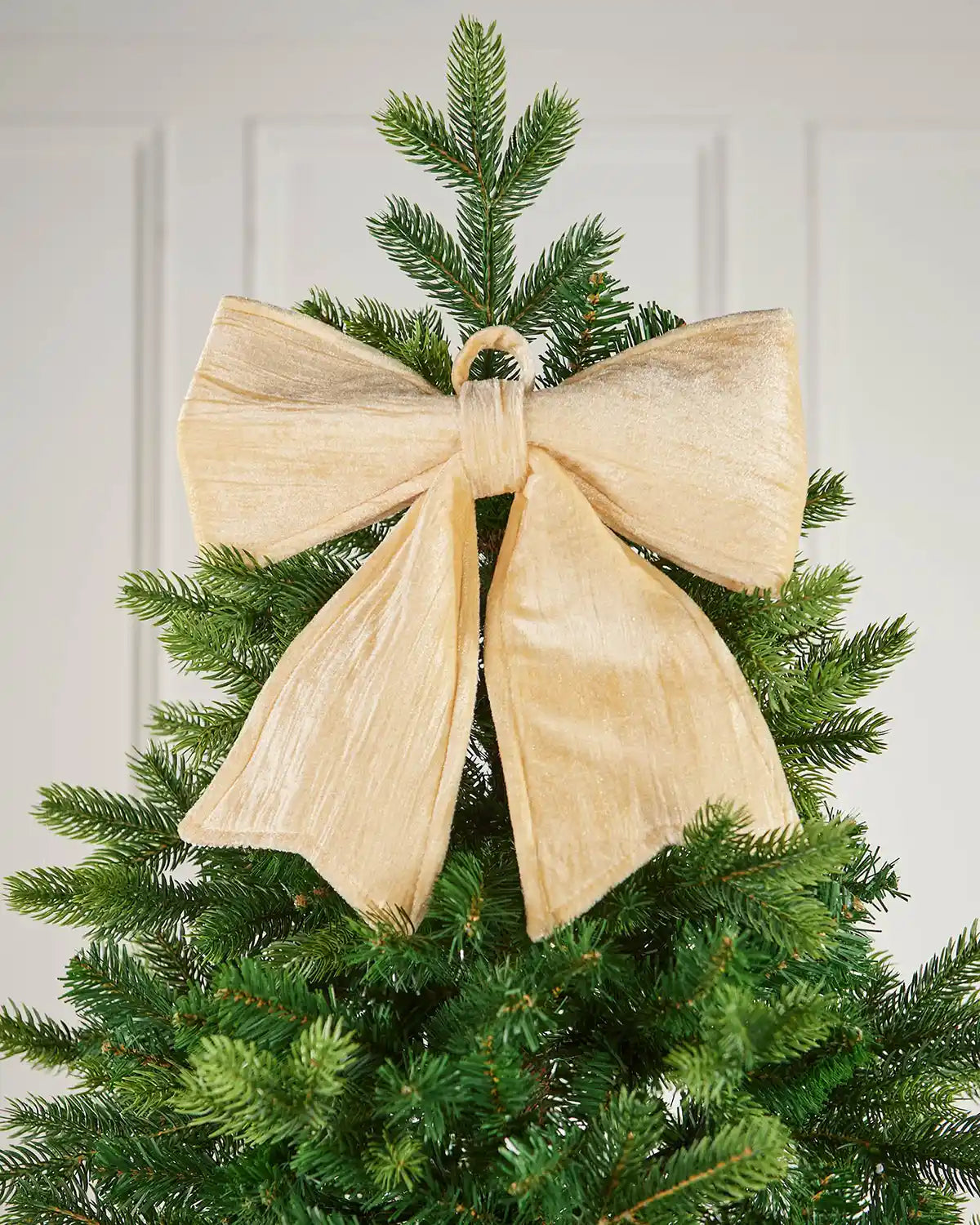 Vintage-style gold velvet bow attached near the top of a Christmas tree in front of a white background