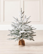 Snow Flocked Potted Christmas Tree, 2 ft