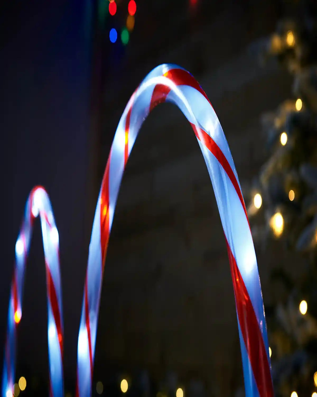 Close up of 2 Candy Cane Arch Pathway Stake Lights in a snowy garden with lights and fencing