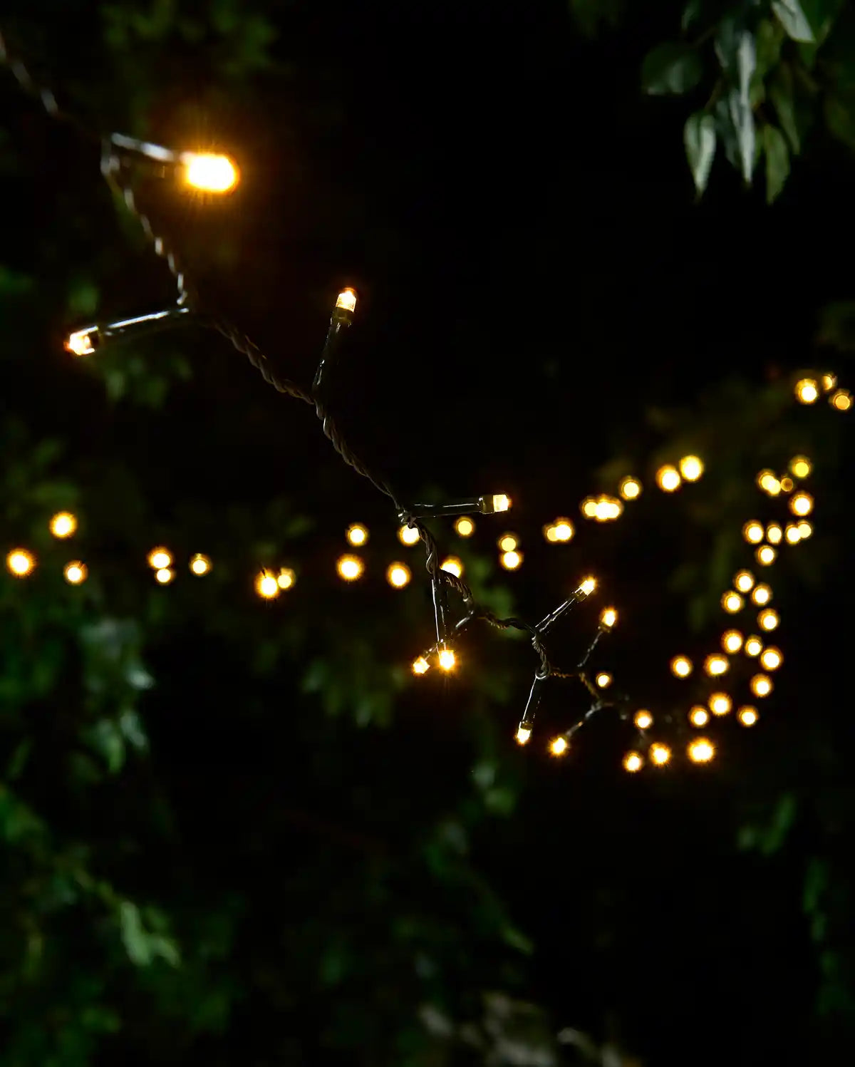 Warm white string lights hanging down with a black background