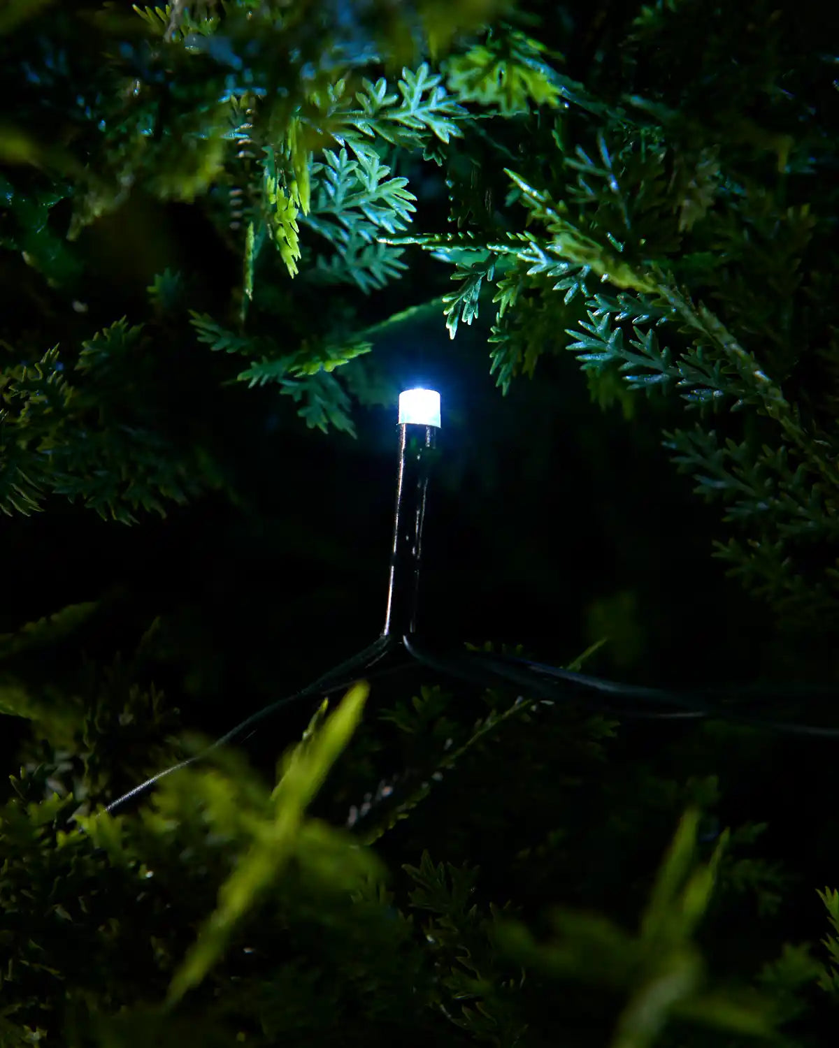 Multi-Function LED String Lights, White