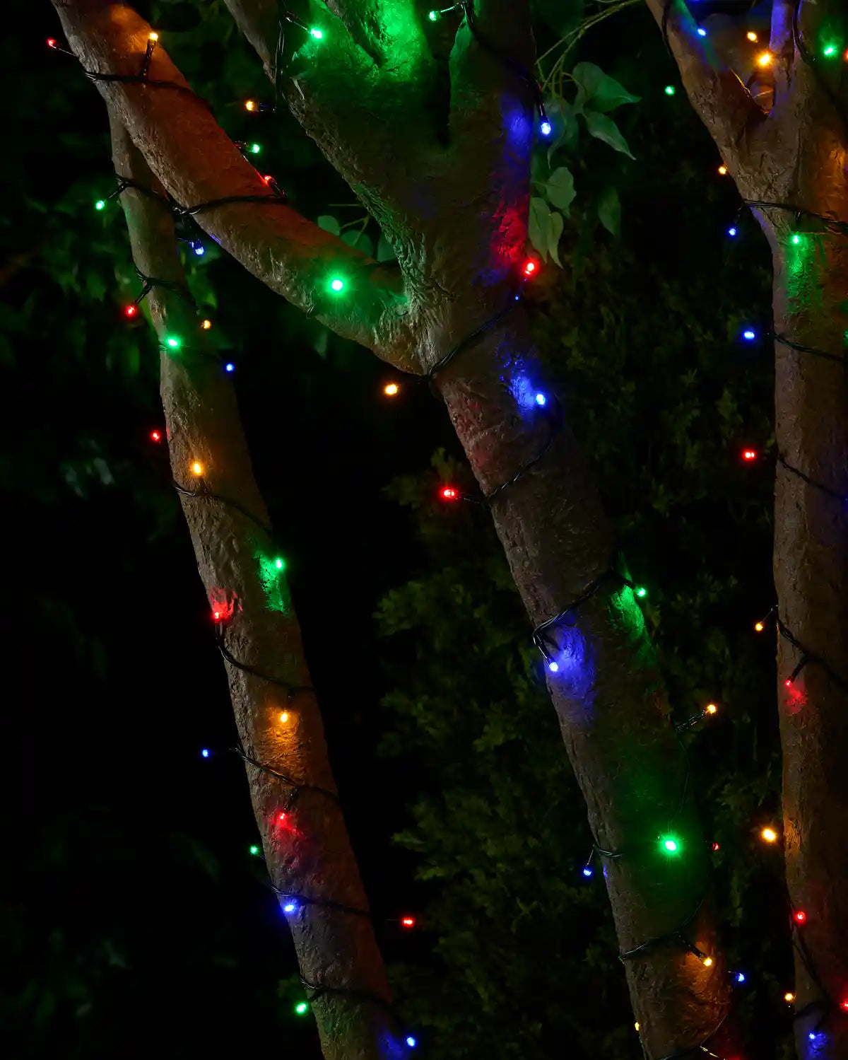 Multi-Function LED String Lights, Multi-Colour