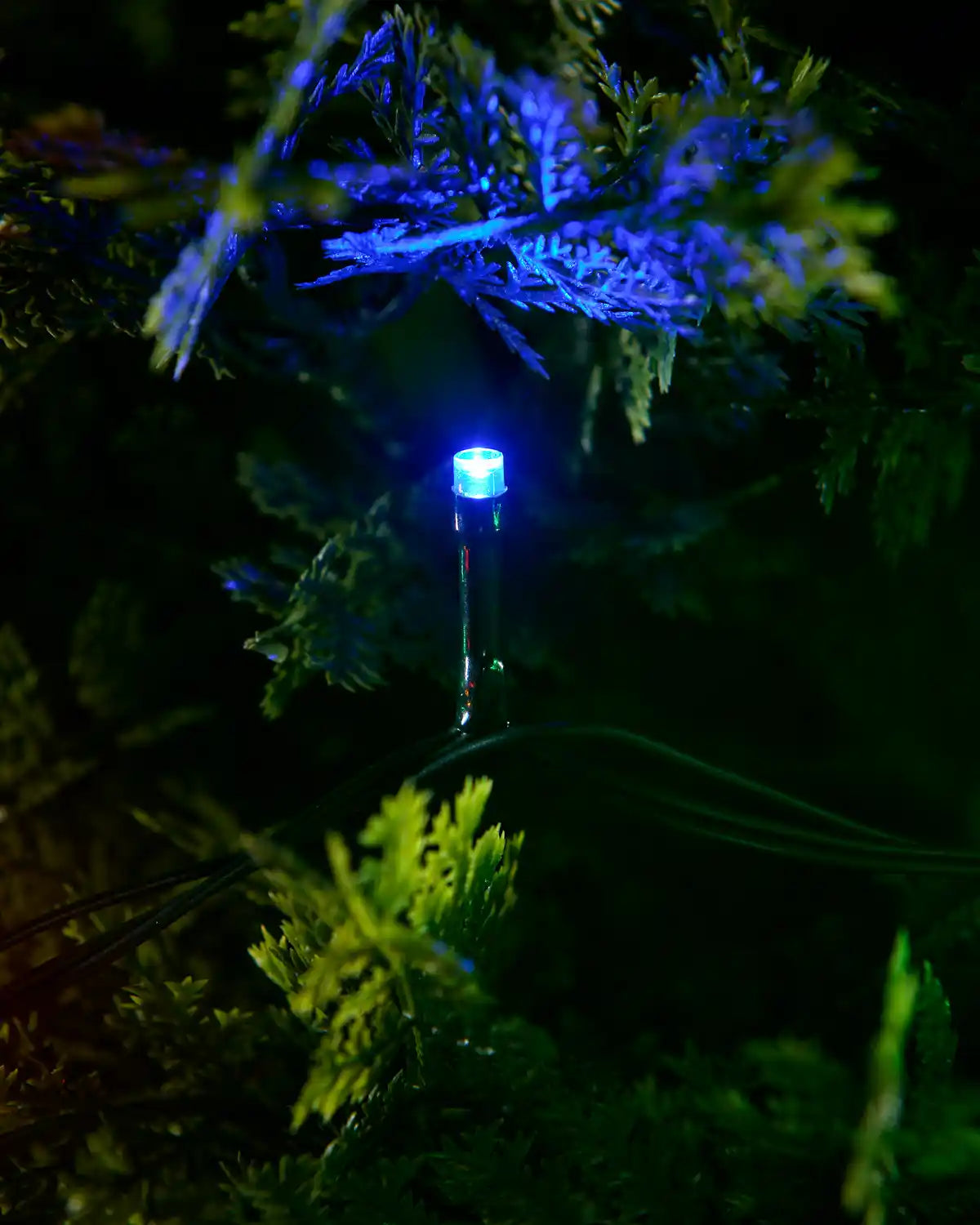 120 LED String Lights, Multi-Colour, 9m