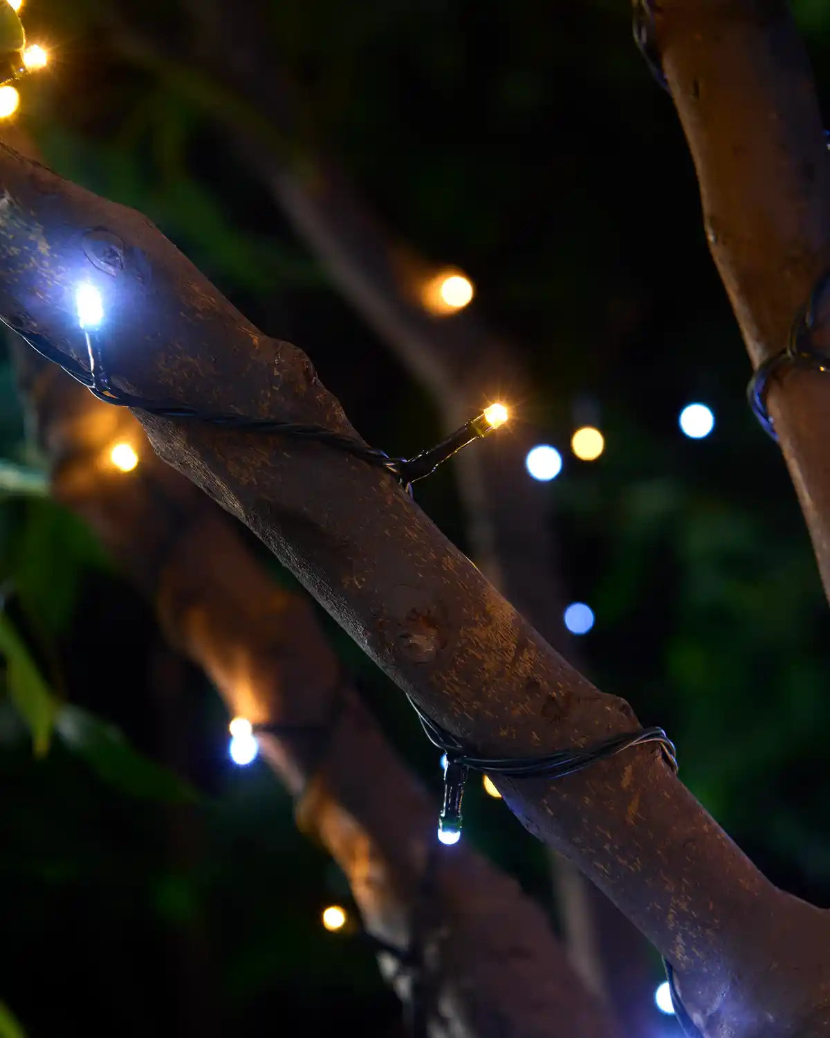 Multi-Function LED String Lights, Warm White & White