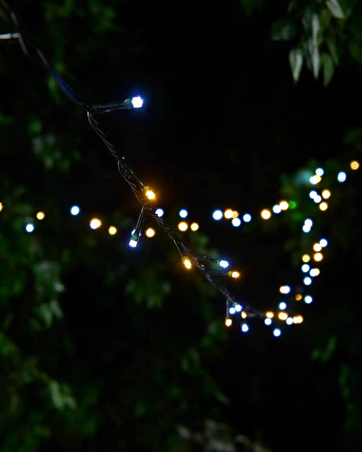 Multi-Function LED String Lights, Warm White & White