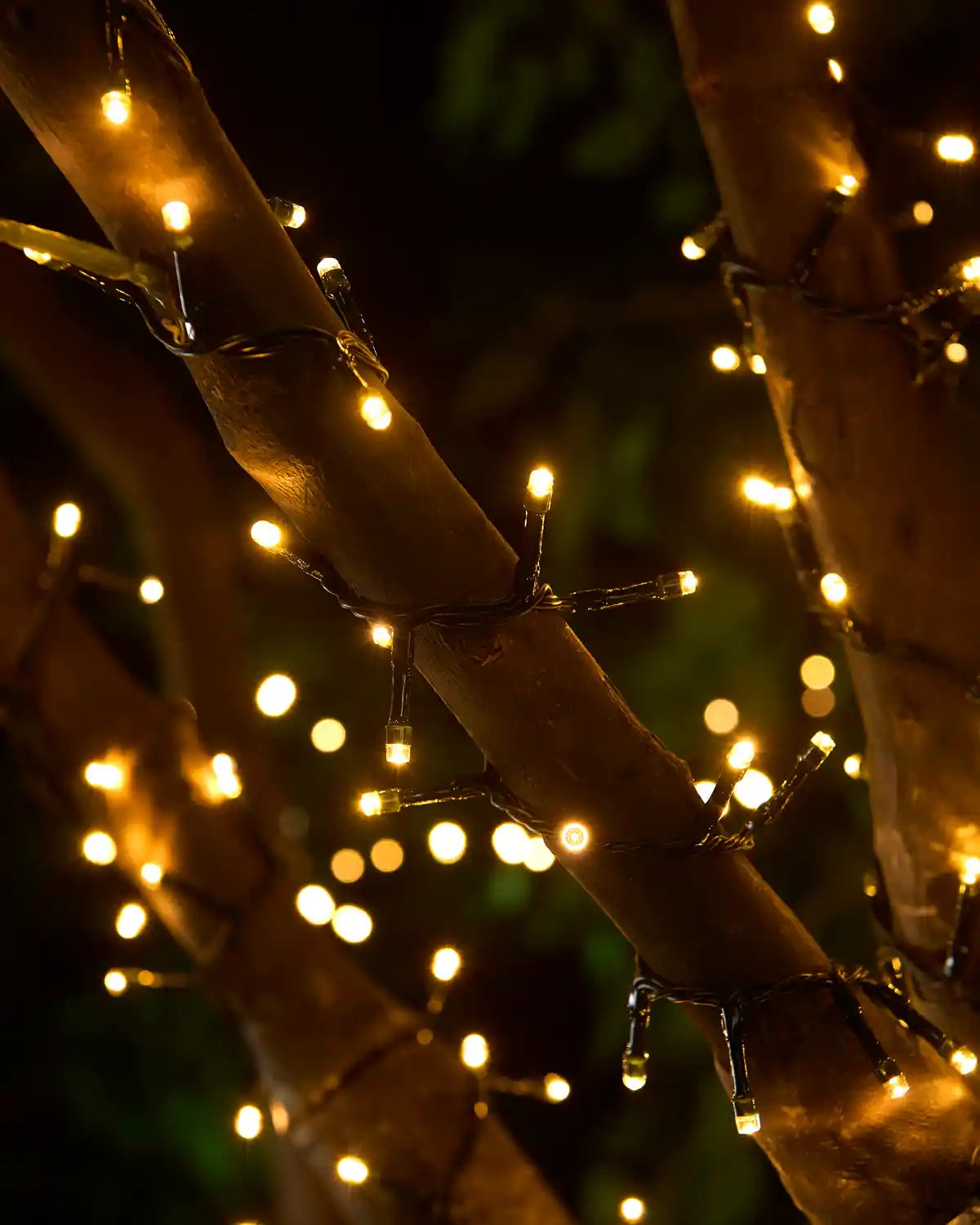 Multi-Function Compact LED String Lights, Warm White