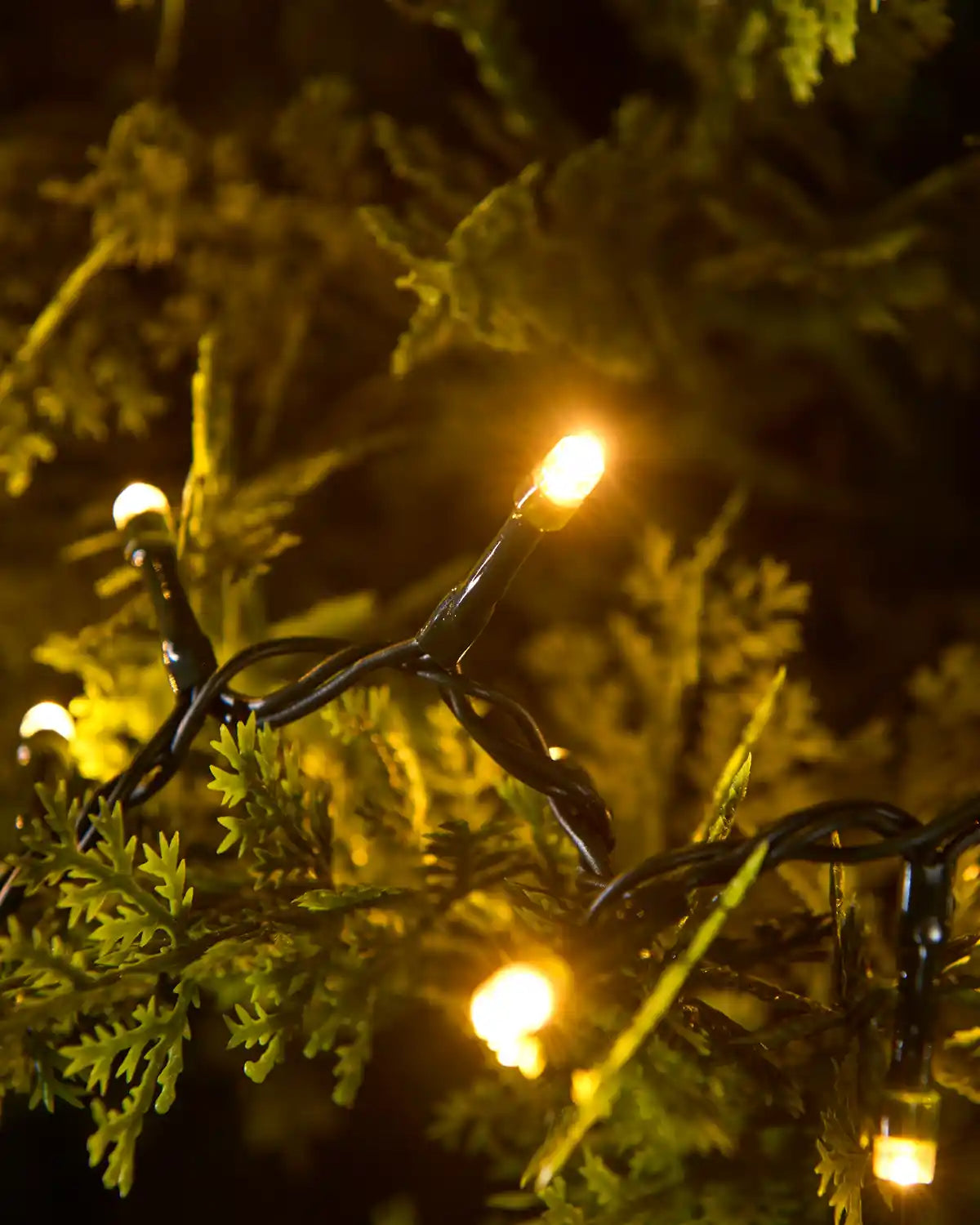 Multi-Function Compact LED String Lights, Warm White
