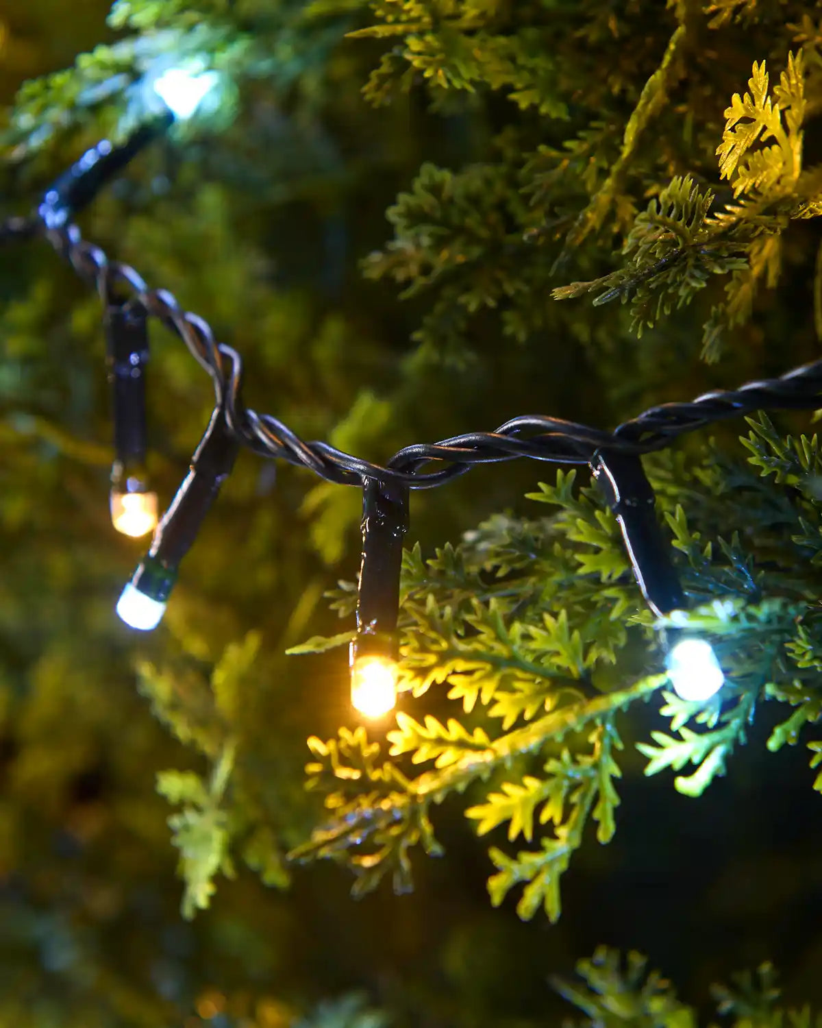 Multi-Function Compact LED String Lights, Warm White & White