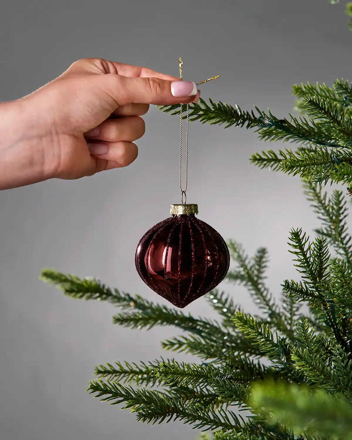 Hand holding a burgundy glass ornament on a Christmas tree branch with a grey background
