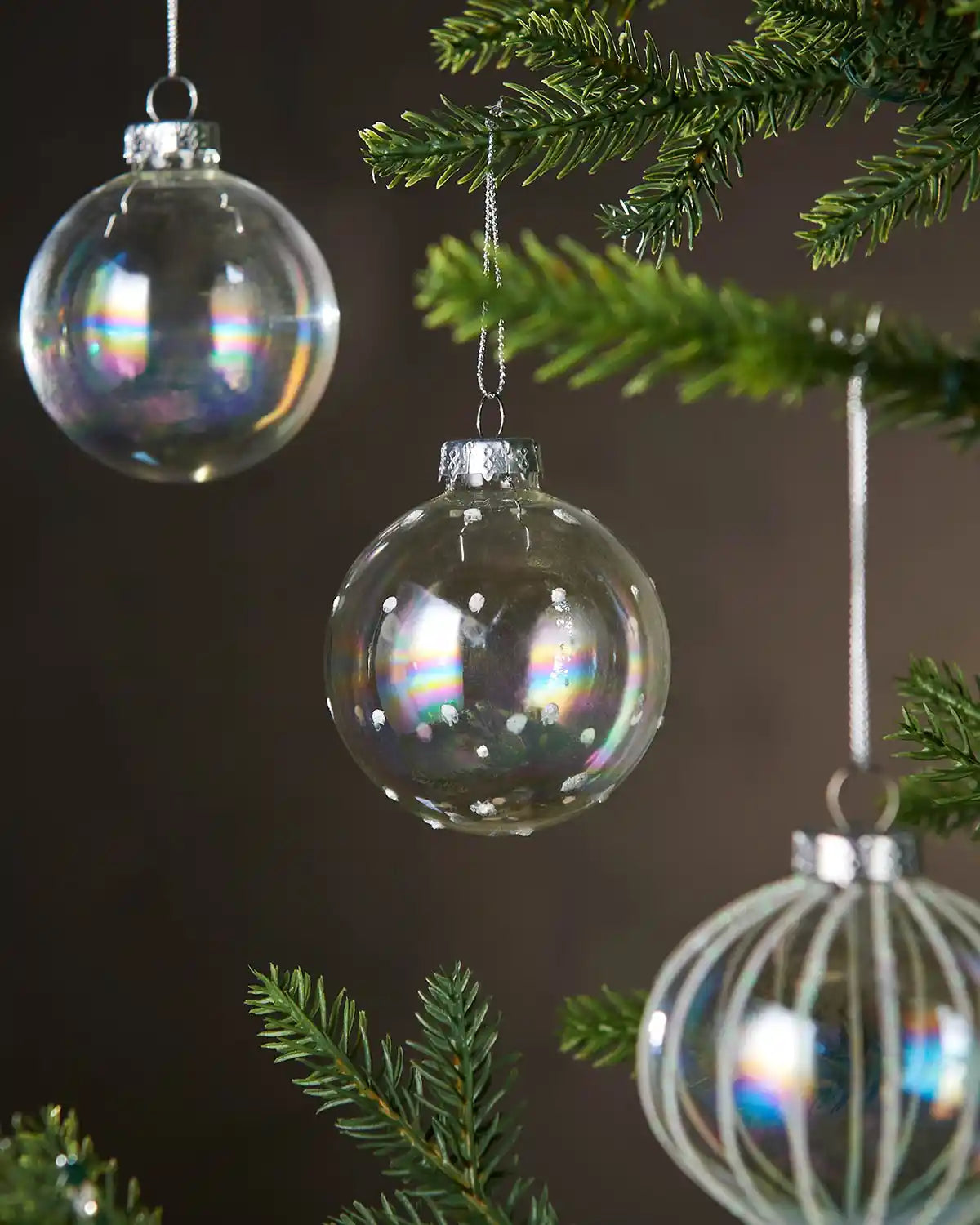 Iridescent glass Christmas baubles hanging on a tree branch with a dark background