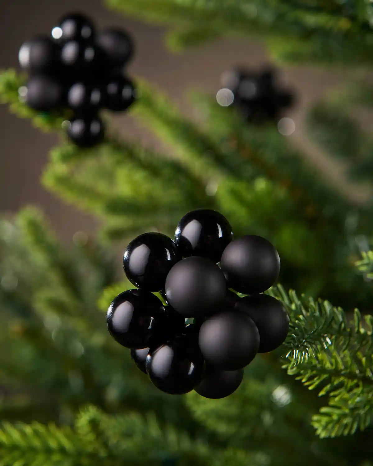 Close up of Black berry cluster baubles on a tree with a brown blurry background