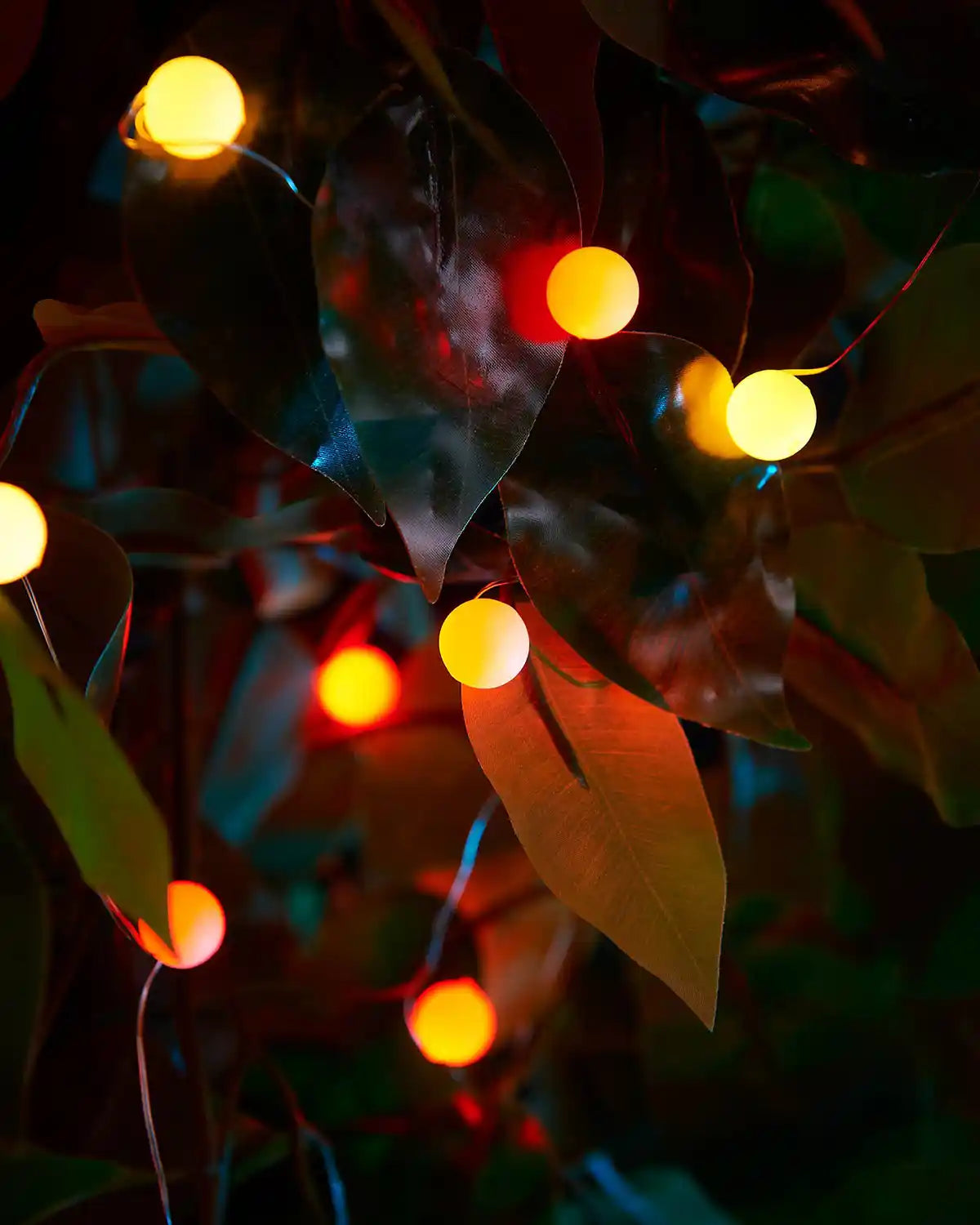 Close up of Yellow and orange berry String lights wrapped around green leaves against a dark background