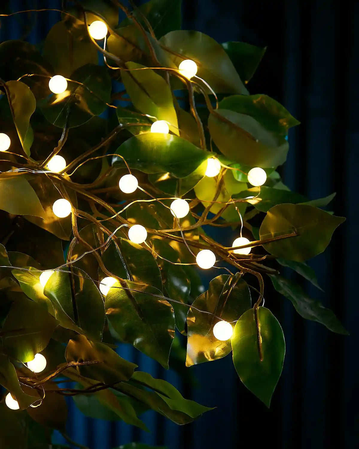 Warm white String lights wrapped around green leaves against a dark background