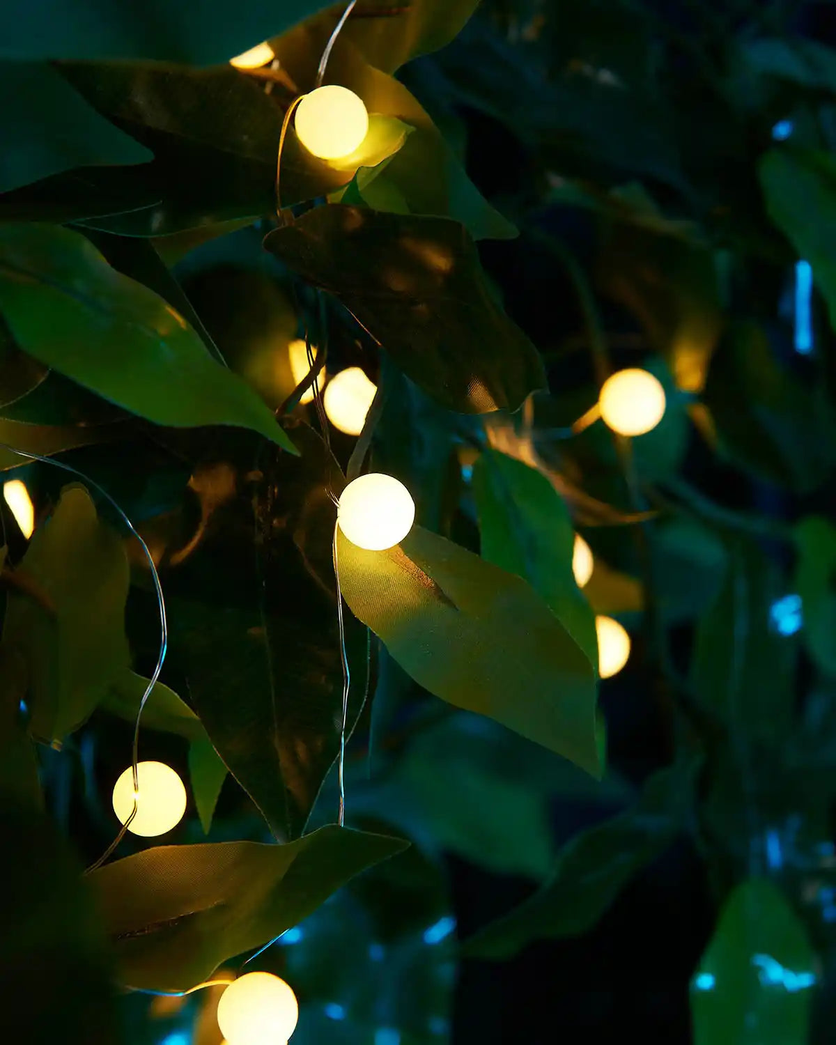 Close up of warm white berry String lights hanging among green leaves