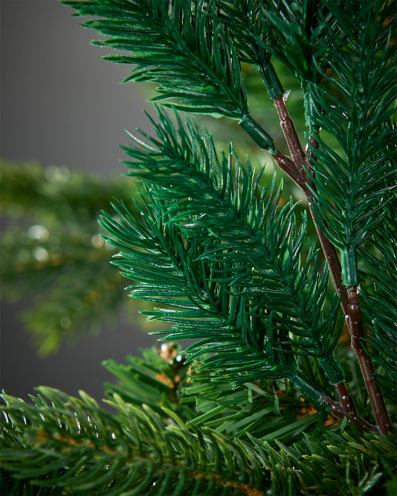 Set of 5 Natural Spruce Picks, 32 cm