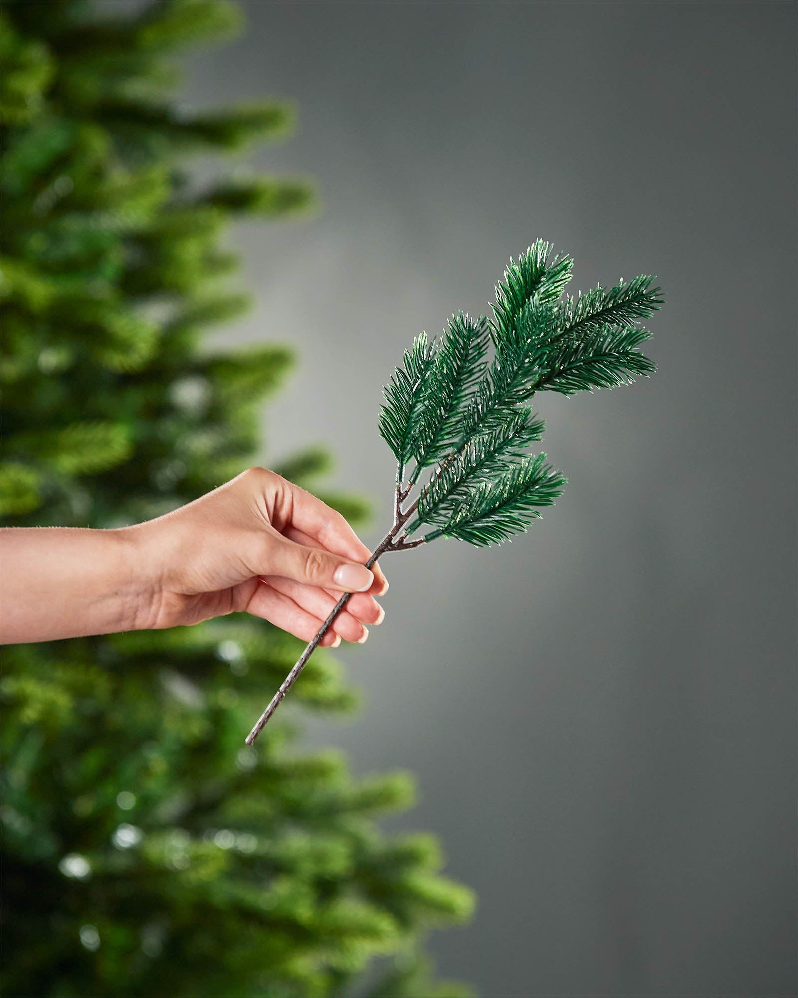 Set of 5 Natural Spruce Picks, 32 cm