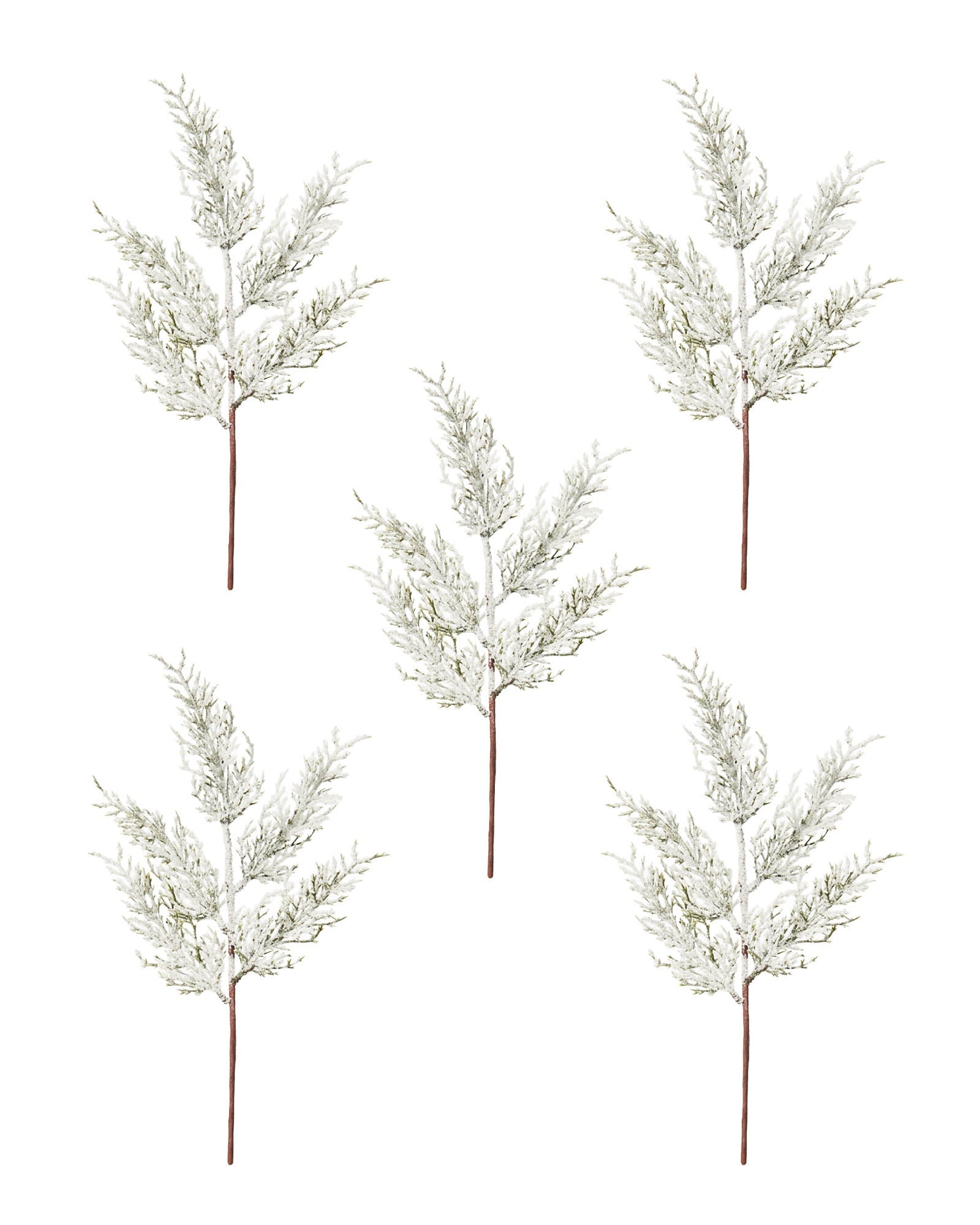 Set of 5 Snow-Flocked Cypress Picks, 40 cm
