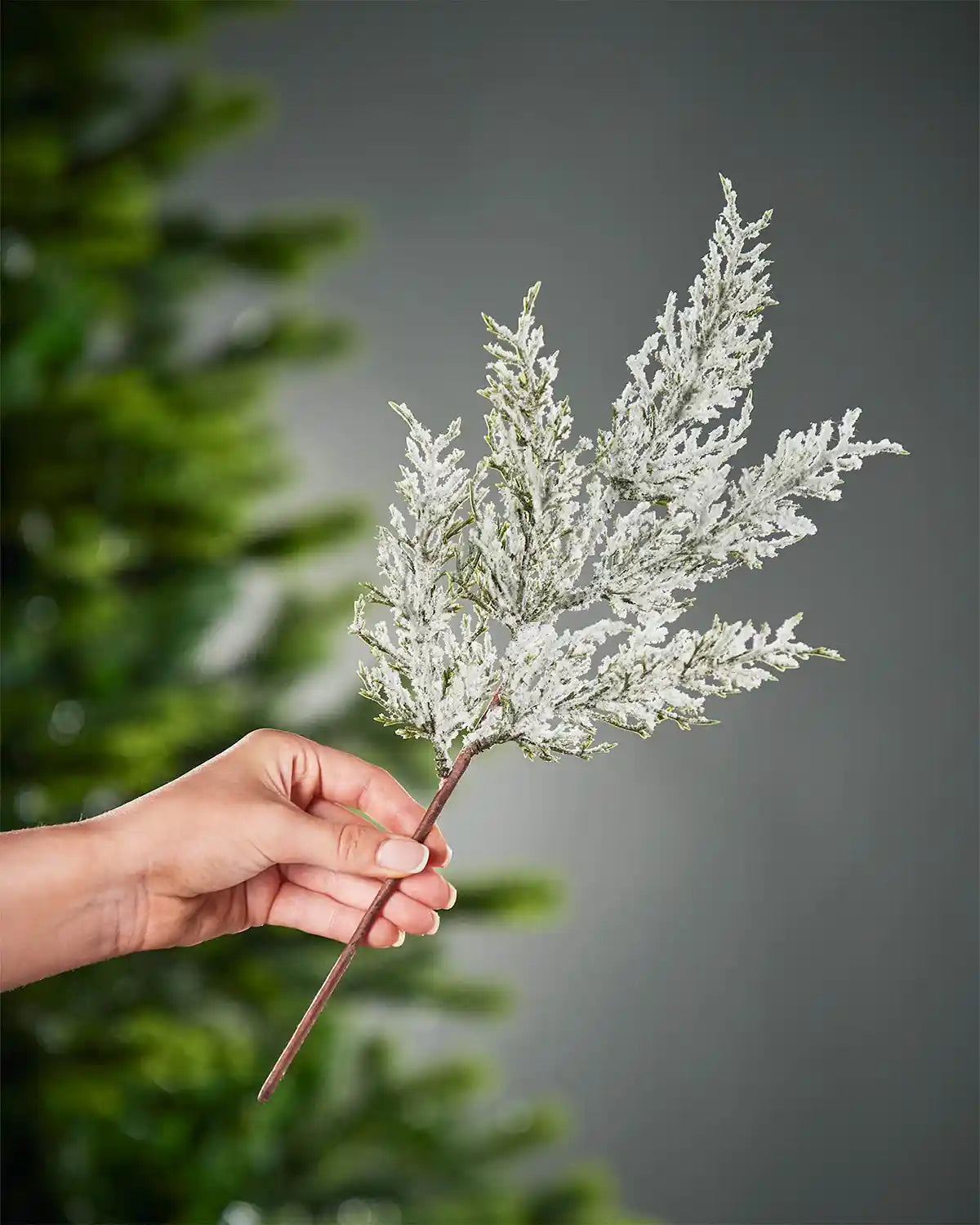 Hand holding a branch of artificial white foliage against a gray background